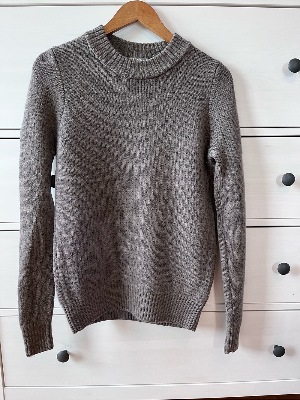Icebreaker Crewneck Sweater